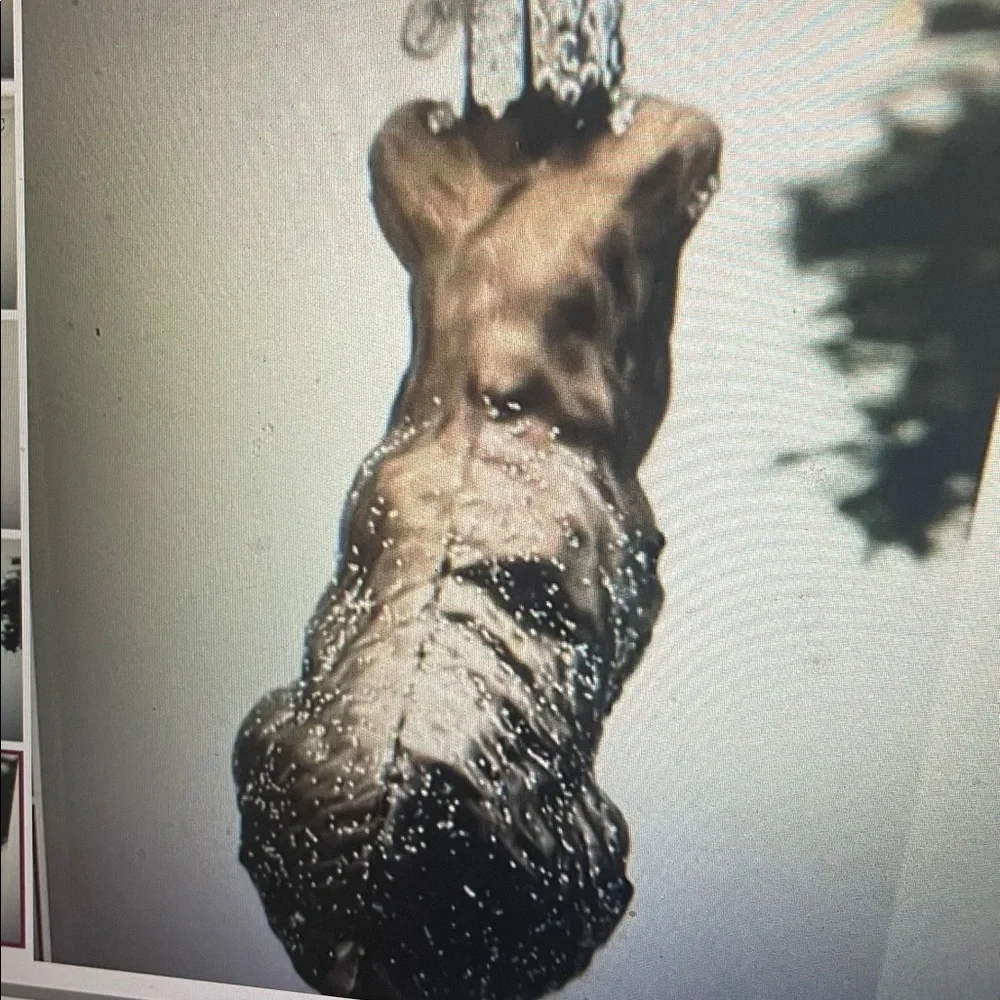 Old World Christmas Ornaments Grey Schnauzer Glass Blown Ornaments